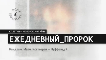 Квиддич. Когтевран - Пуффендуй